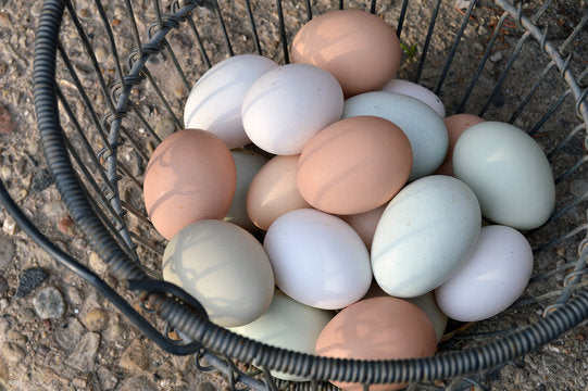 Organic Eggs and Grass-Fed Beef