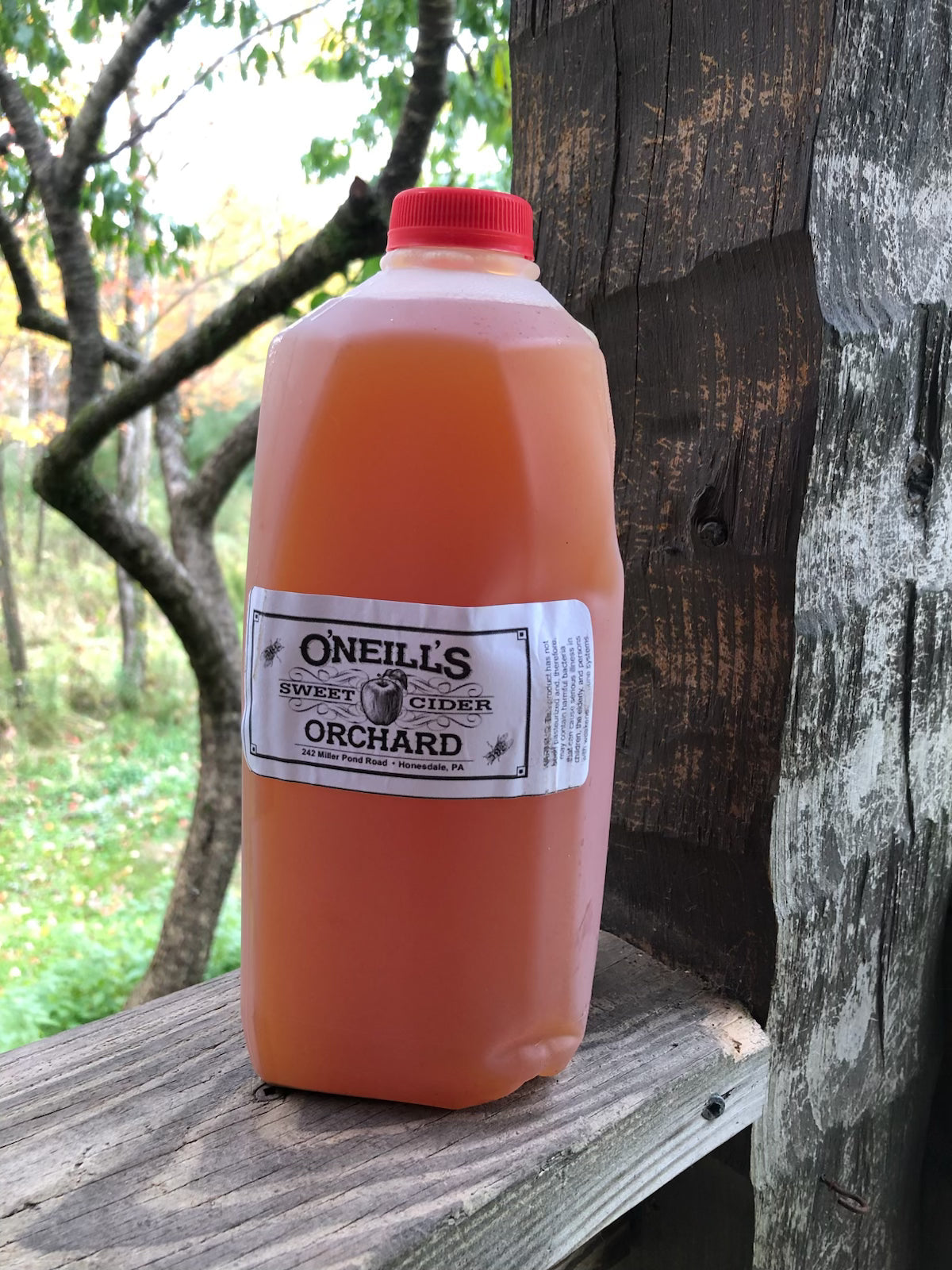 Apple Cider