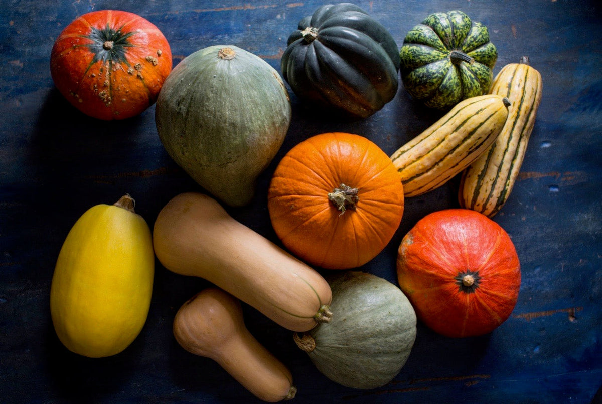 Winter Squash
