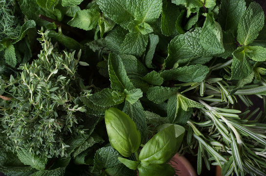 Herbs