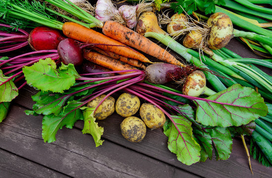 Roots & Cabbage