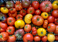 Heirloom Tomatoes