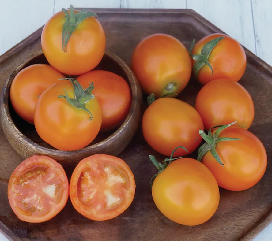 Jaune Flamme Heirloom Tomatoes