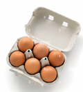 Beaverkill Meadows Farm Organic Eggs
