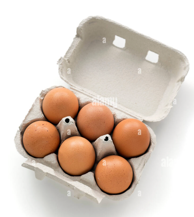 Beaverkill Meadows Farm Organic Eggs