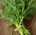 Dill