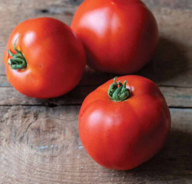 Red Slicer Tomatoes