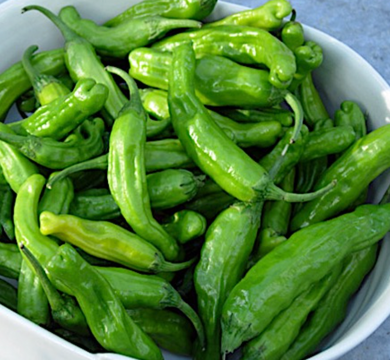 Shishito Peppers