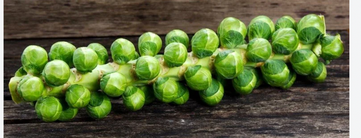 Brussels Sprouts