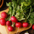 Radishes, Red