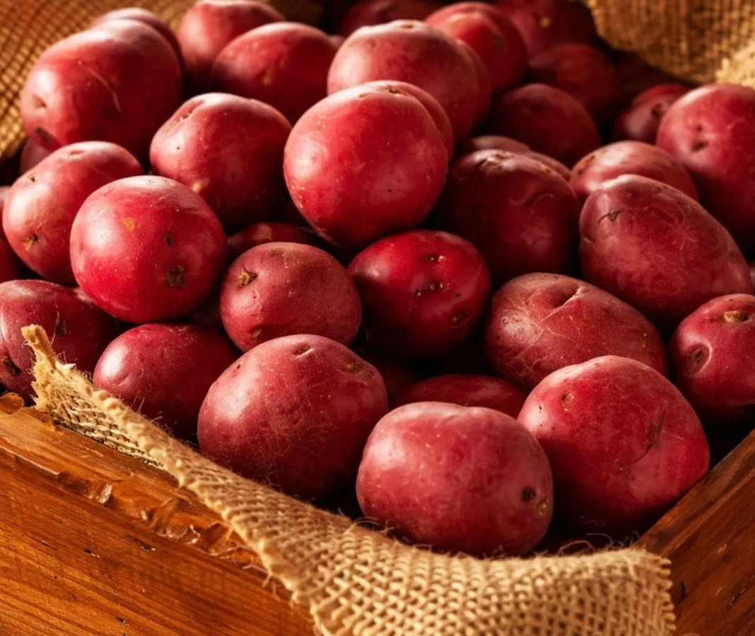 Potatoes, New