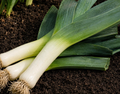 Leeks