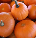 Small Pumpkins