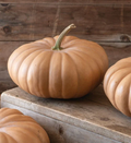 Long Island Cheese Pumpkin