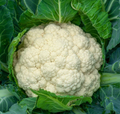 Cauliflower