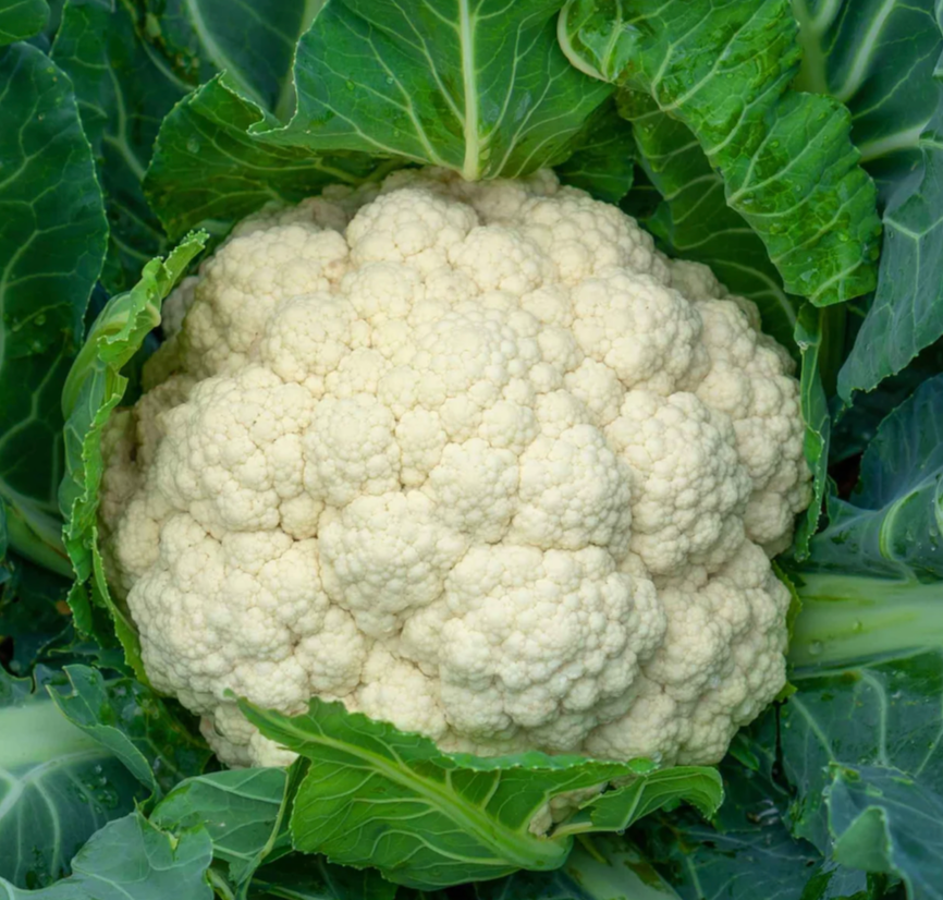 Cauliflower