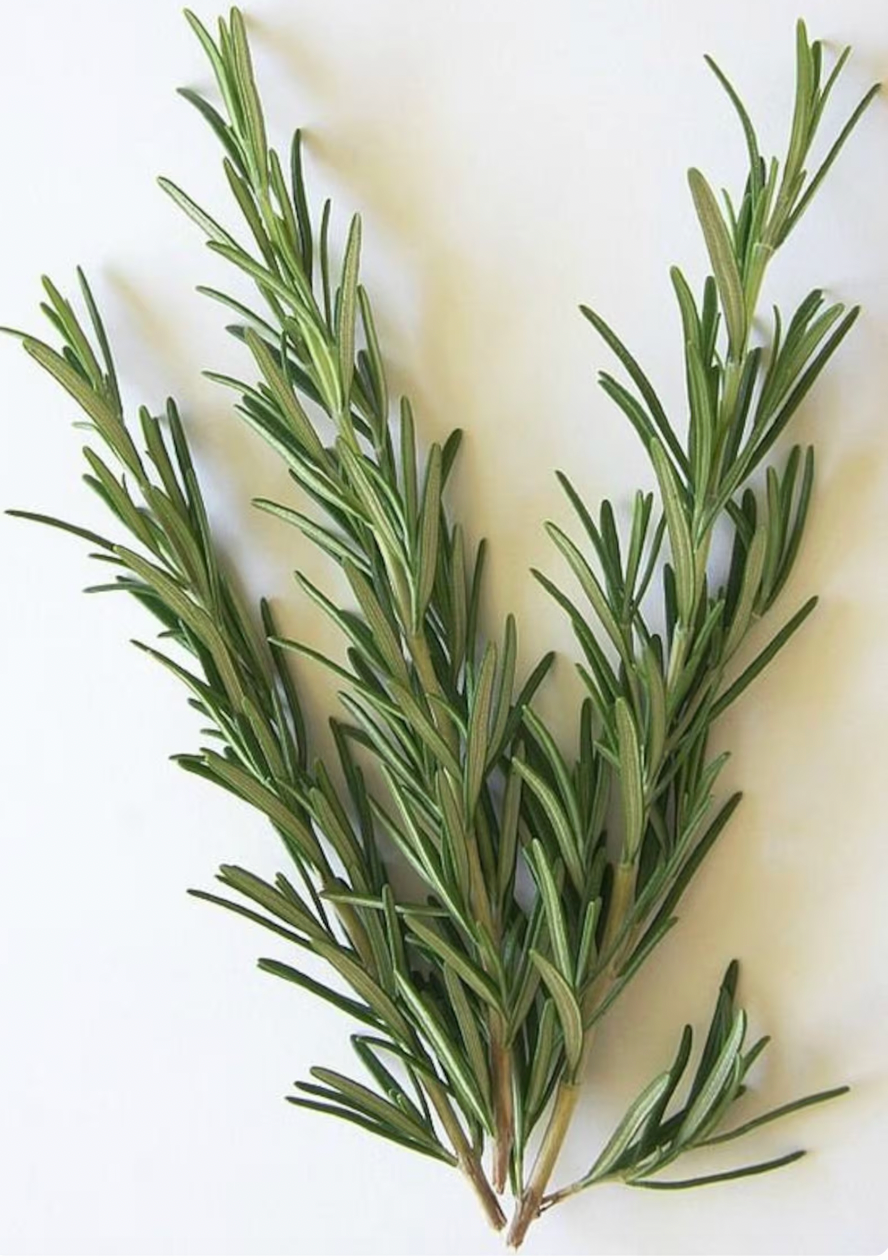 Rosemary