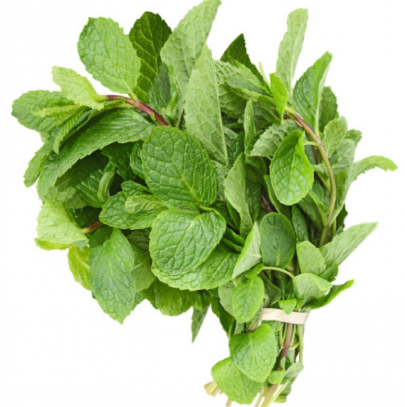 Mint