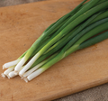 Scallions