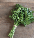 Parsley