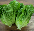 Little Gem Lettuce