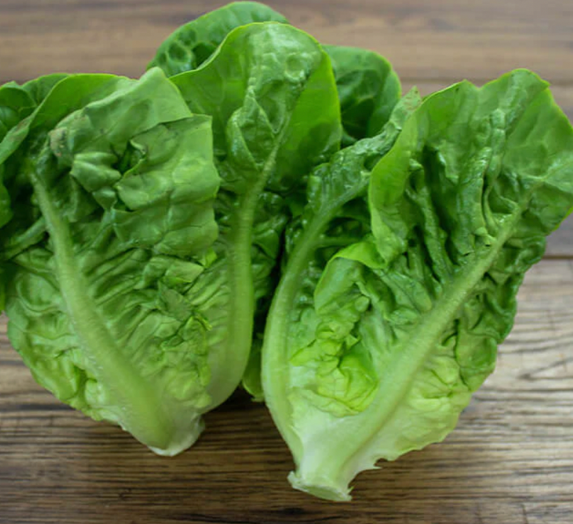 Little Gem Lettuce