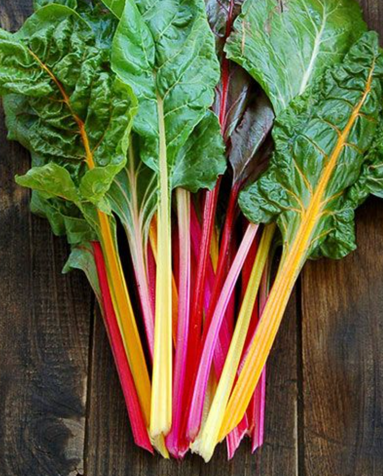 Rainbow Swiss Chard