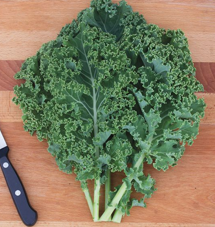 Green Curly Kale