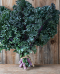 Purple Curly Kale