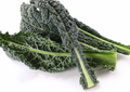 Tuscan Kale