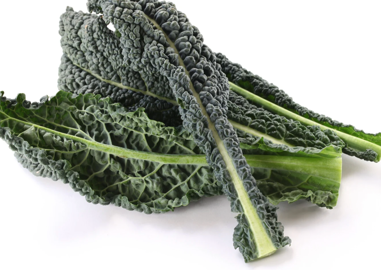 Tuscan Kale