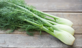Fennel