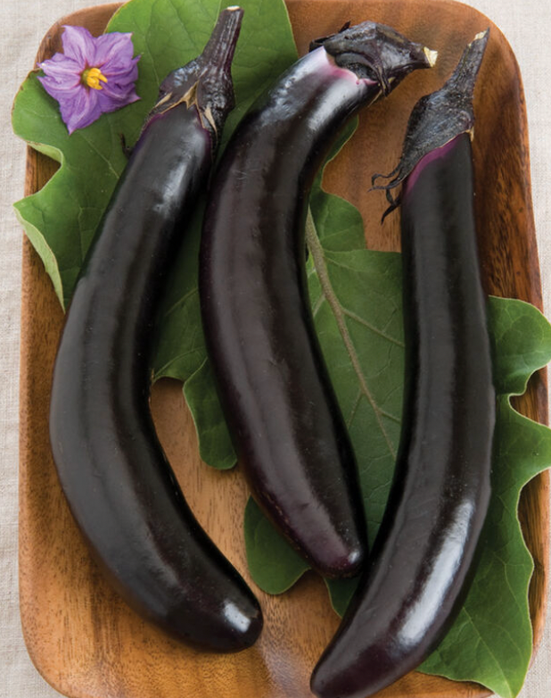 Japanese Eggplant