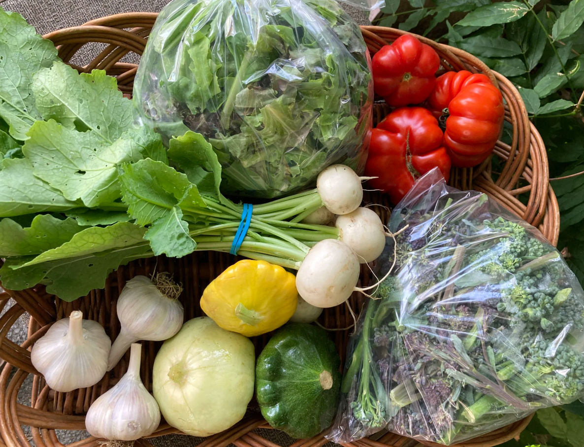 Farm Share Box