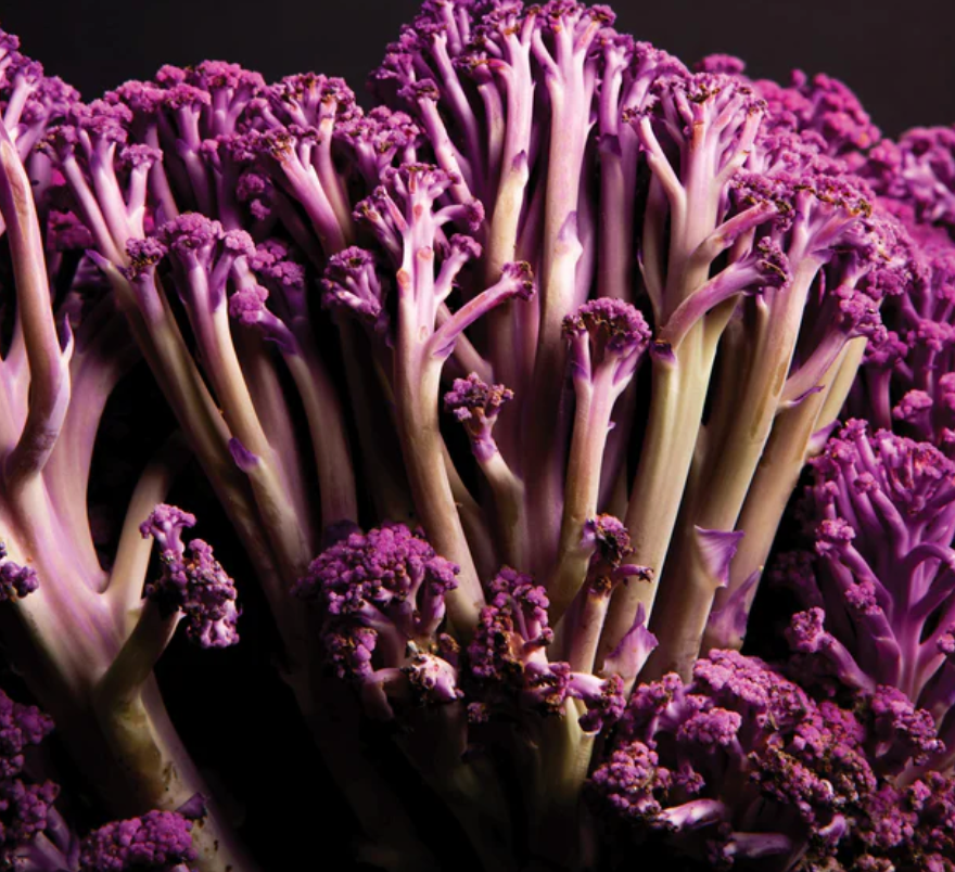 Purple Sprouting Cauliflower LIMITED