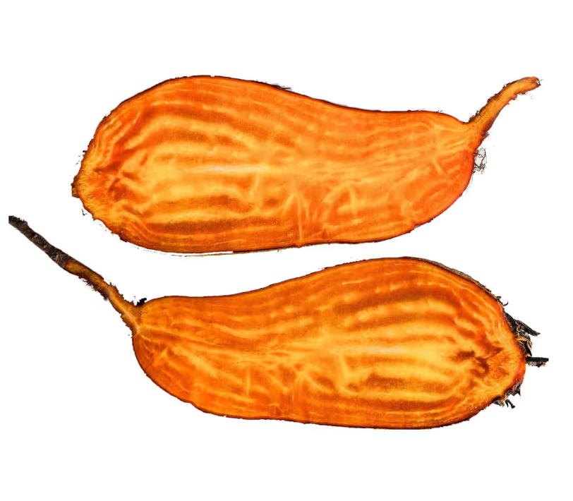 Row 7 Badger Flame Beets