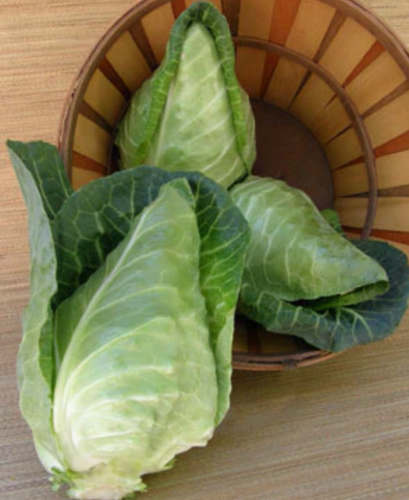 Caraflex Cabbage