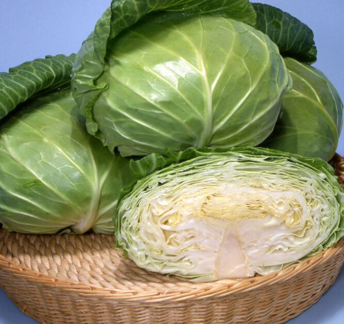 Tendersweet Cabbage