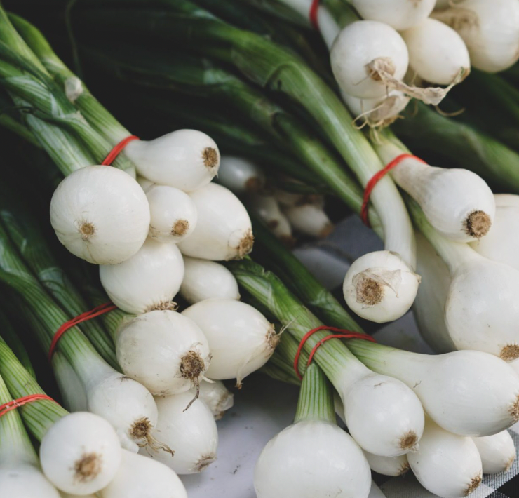 White Spring Onions