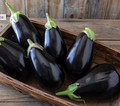Eggplant, Italian
