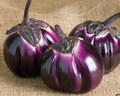 Eggplant, Heirloom