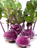 Purple Kohlrabi