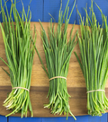 Chives