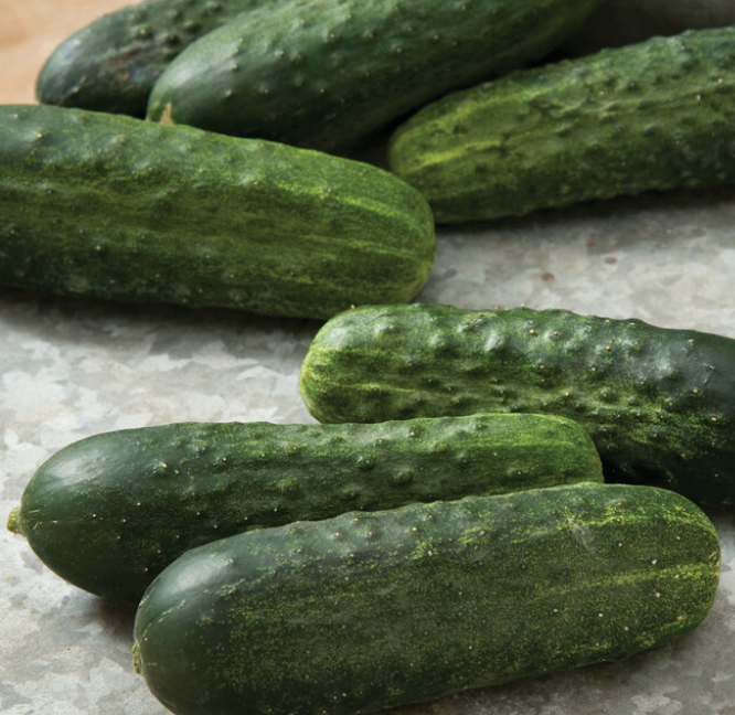 Cucumbers